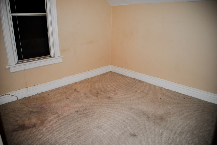 Carpet Damage Restoration by Restoration 1 of Hartland