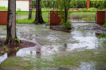 House Flooding in Union Lake from Sprinkler