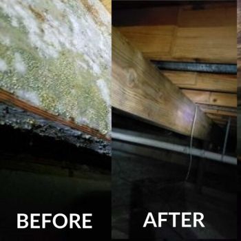 Mold Removal in Hartland Township by Restoration 1 of Hartland